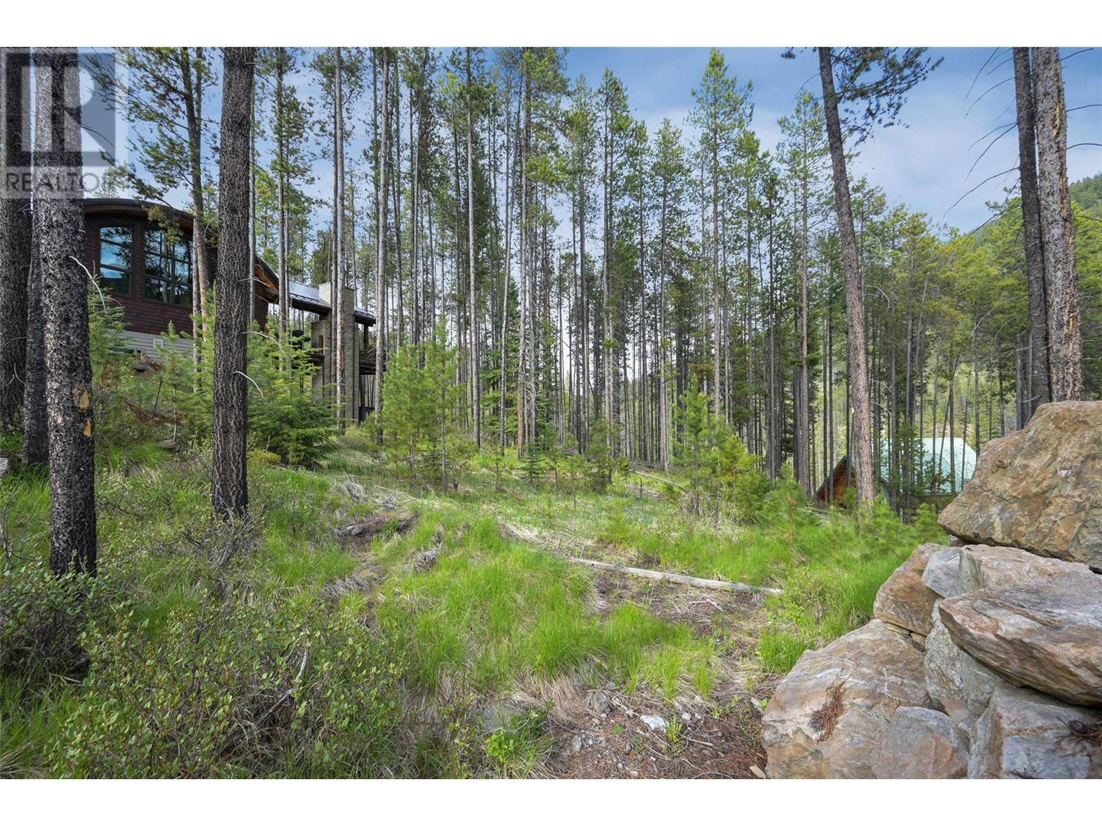 Panorama, BC V0A1T0,Lot 2 Cliffside Grove