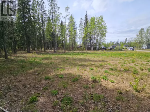 Tumbler Ridge, BC V0C2W0,115 Red Willow Ave