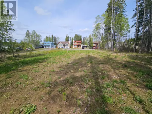 Tumbler Ridge, BC V0C2W0,115 Red Willow Ave