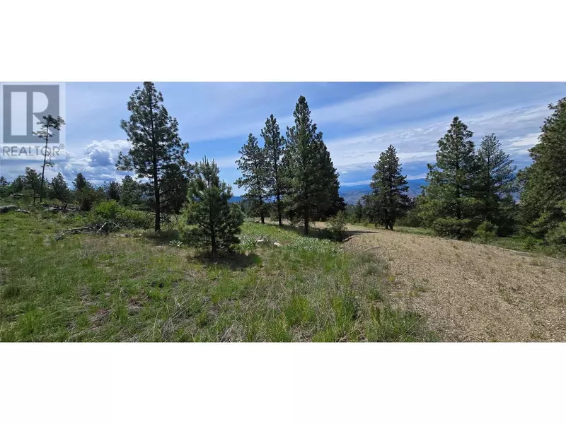 1035 Bullmoose Trail, Osoyoos, BC V0H1V6