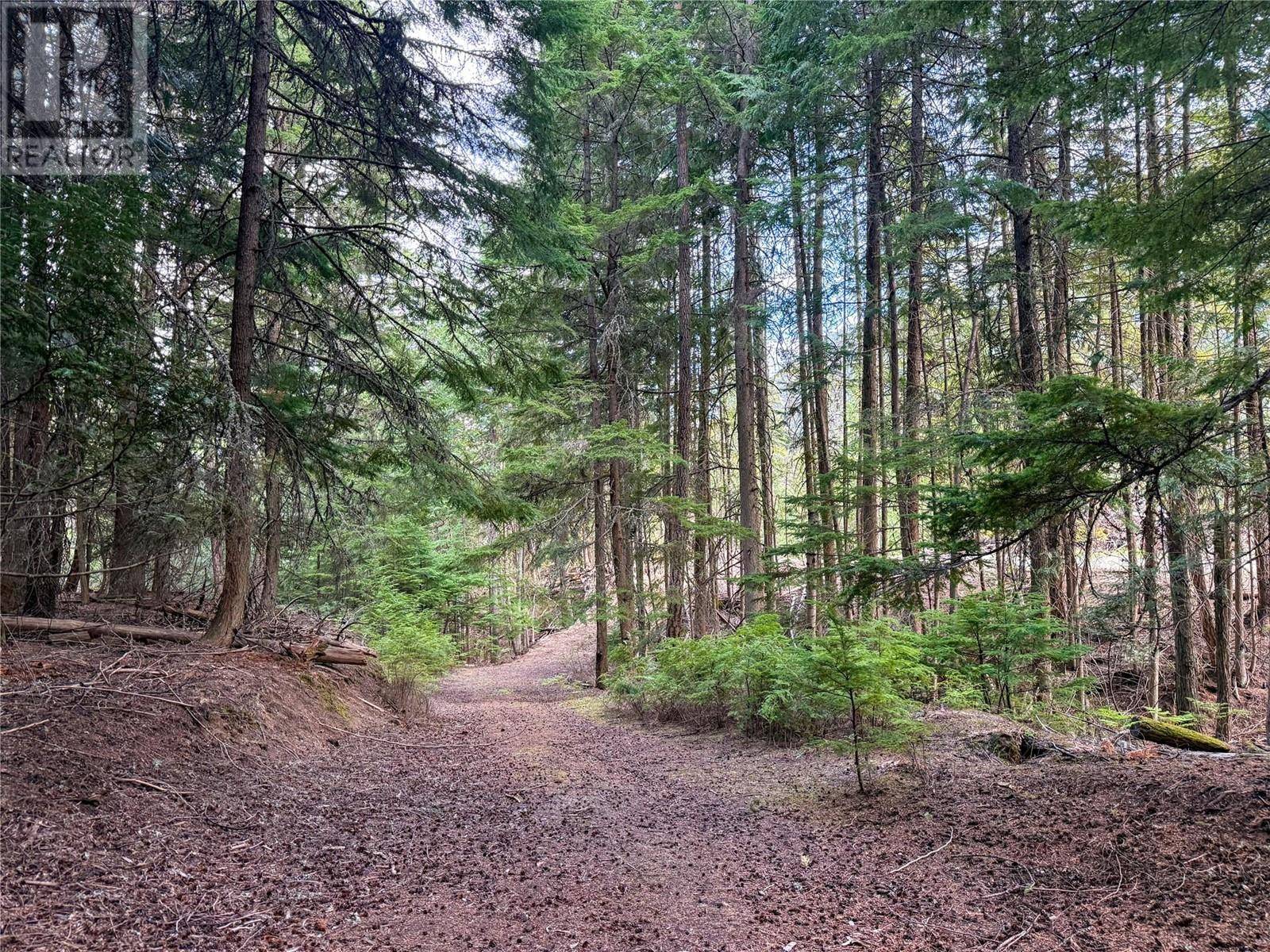 Passmore, BC V0G2J0,3945 Saunders Road