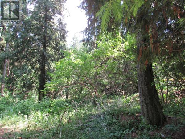 Castlegar, BC V1N3A2,2532 10th AVE #Parcel A
