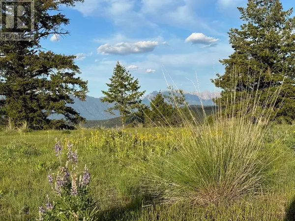 Cranbrook, BC V1C0C2,Proposed Lot 5 - 6145 Parnaby Road