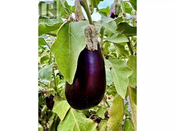 Oliver, BC V0H1T1,124 Road 10