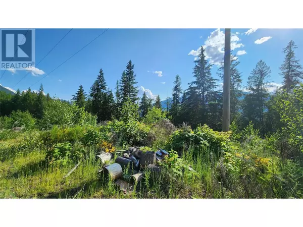 Nakusp, BC V0G1R1,Lot 19 6 Highway