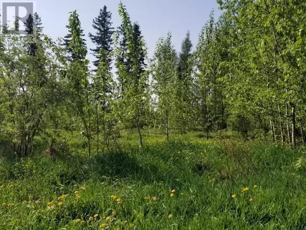 4845 52 Avenue SW, Chetwynd, BC V0C1J0