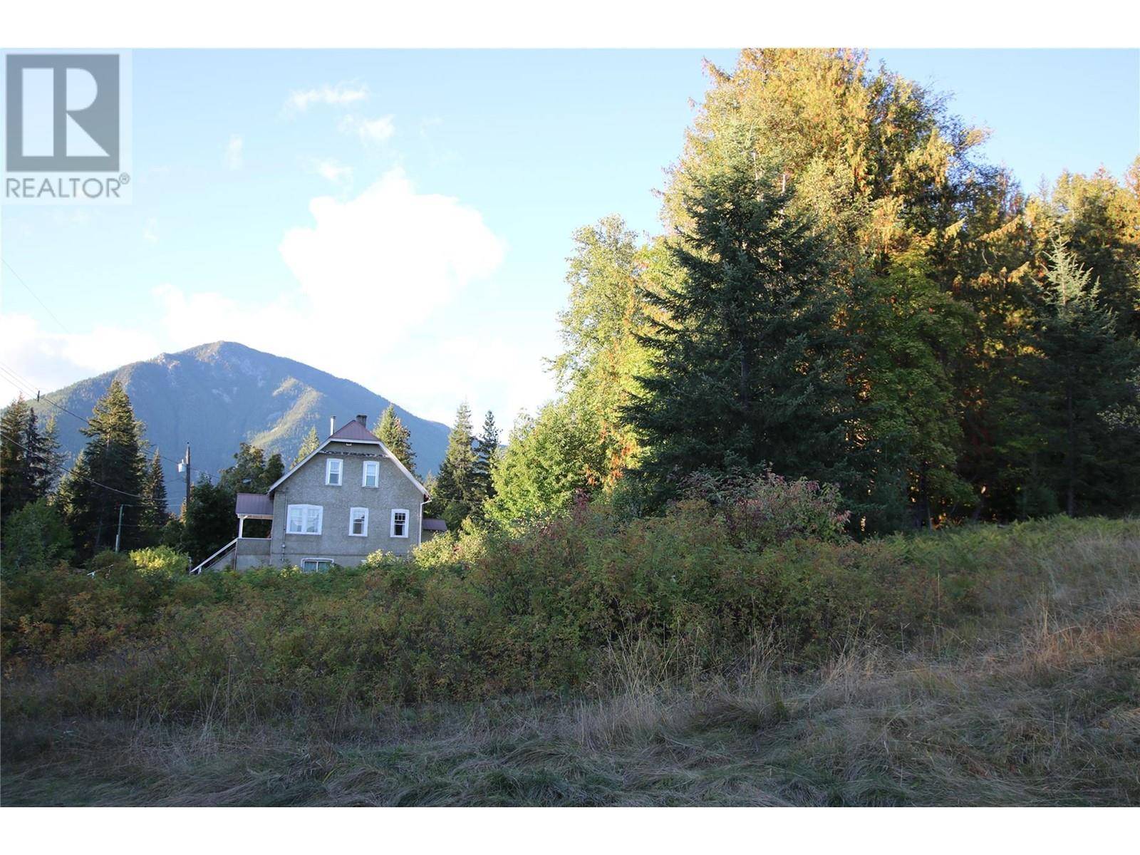 Nakusp, BC V0G1R1,Lot 4 Alexander Road