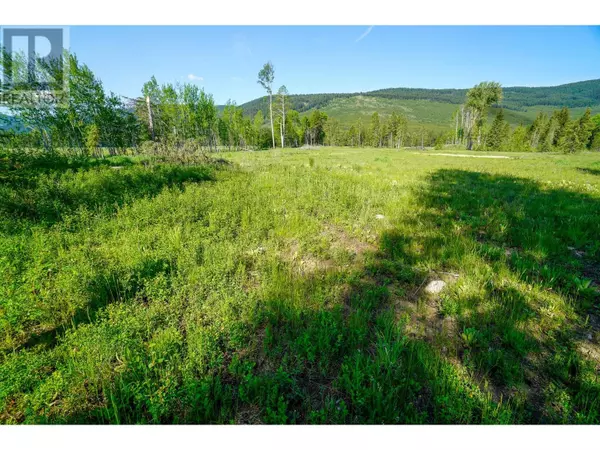 Beaverdell, BC V0H1A0,Lot 3 Mary G Road