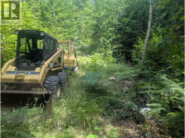 Revelstoke, BC V0G1R0,Lot 2 Whiskey Pointe