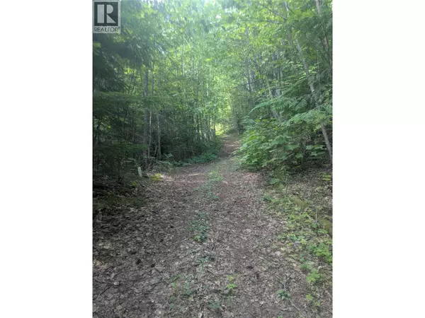 Revelstoke, BC V0G1R0,Lot 2 Whiskey Pointe