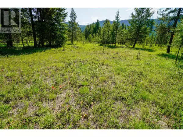 Beaverdell, BC V0H1A0,Lot 6 Mary G Road