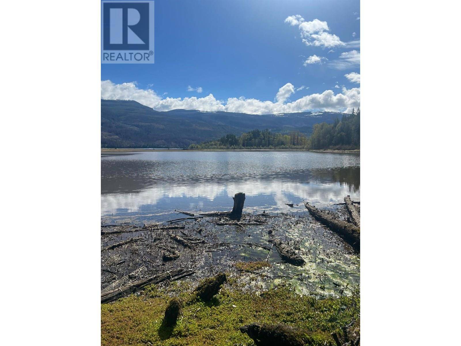 Adams Lake, BC V0E1M0,DL 1376 ADAMS  FSR W Lake