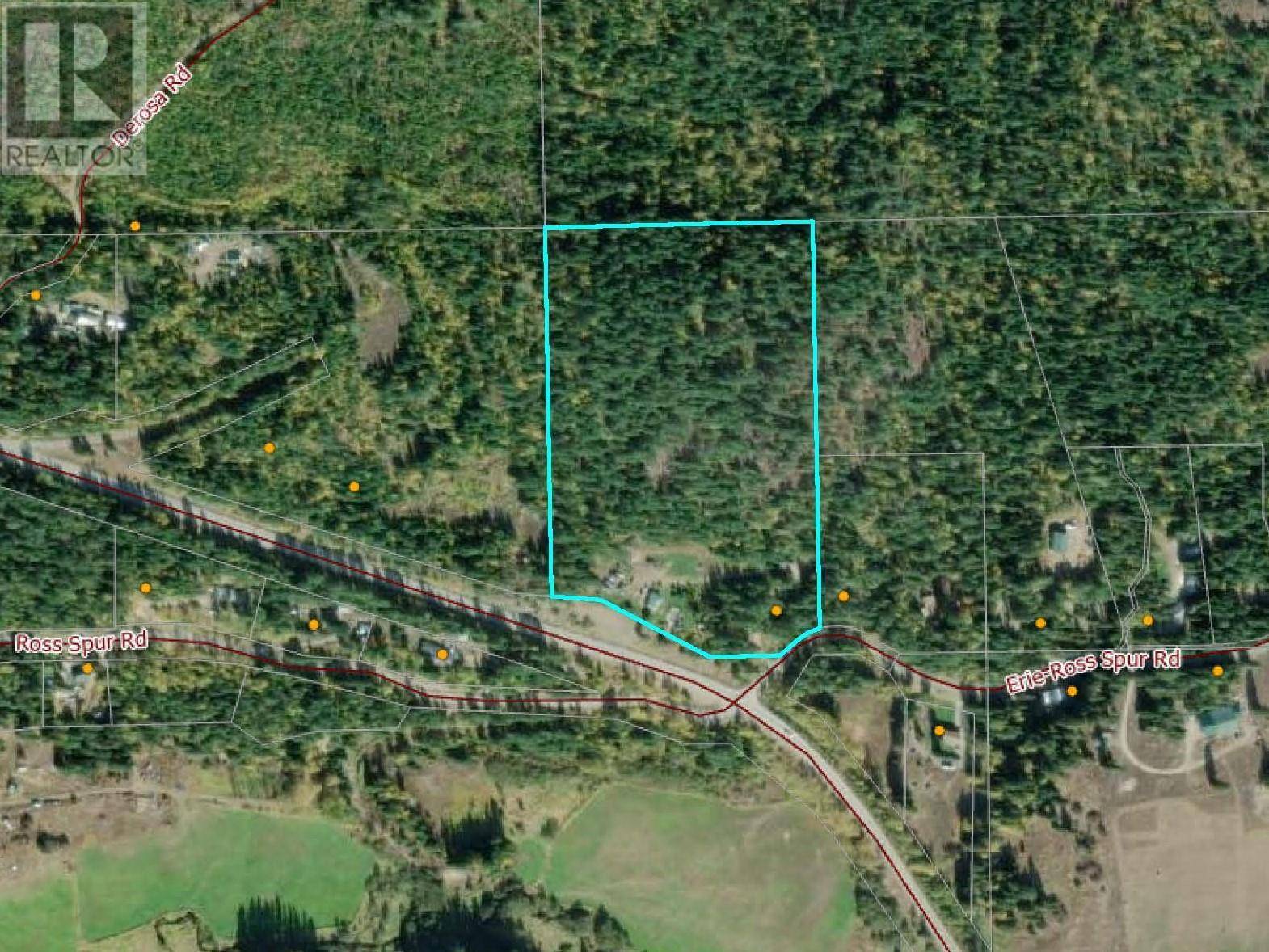 Salmo, BC V0G1L1,4405 Erie Ross-Spur Road