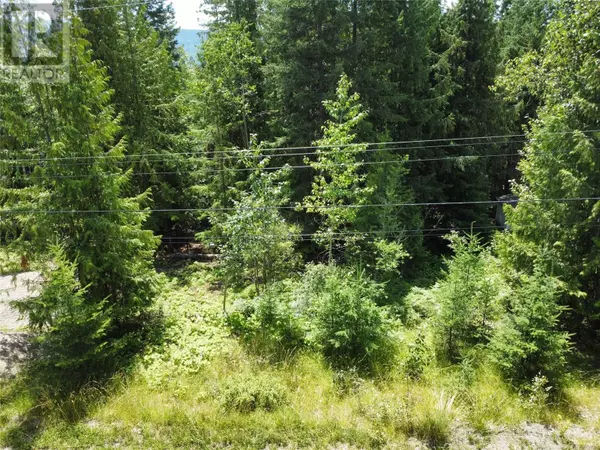 Anglemont, BC V0E1M8,Estate Place Lot# 198