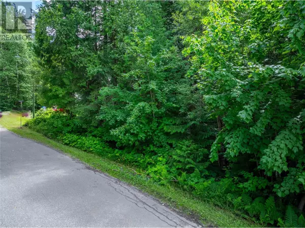 Revelstoke, BC V0E2S1,1565 Pratico Road