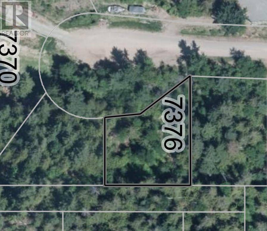 7376 Stampede Trail, Anglemont, BC V0E1M8