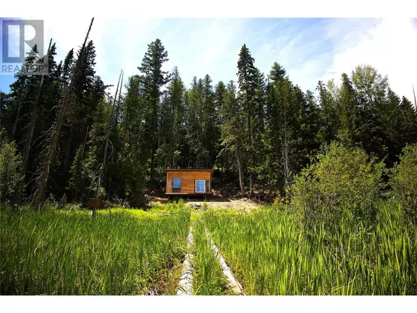 Grand Forks, BC V0H1H5,Lot 3 South Wilgress Road Forest