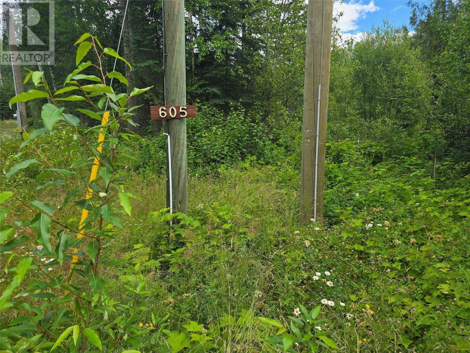 Clearwater, BC V0E1N1,605 MOUL CREEK Road