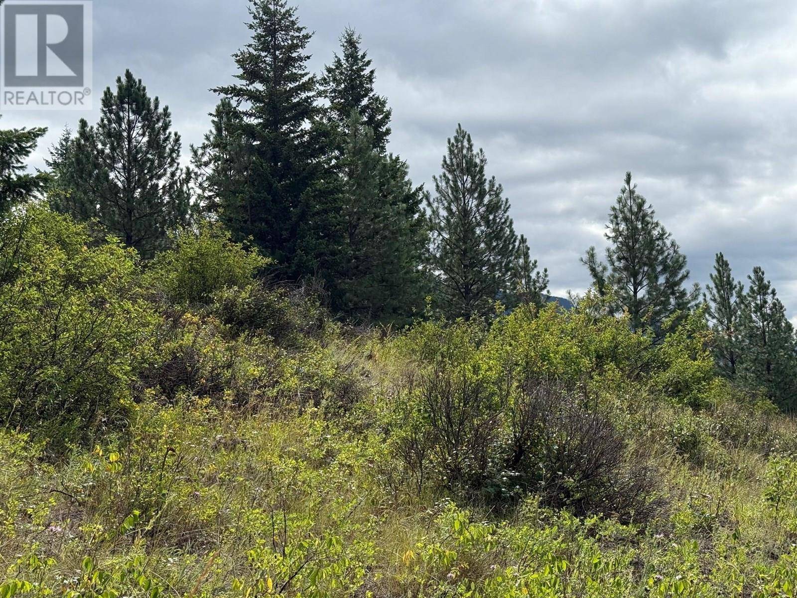 Barriere, BC V0E1E0,Lot 2 Gordon Creek Road