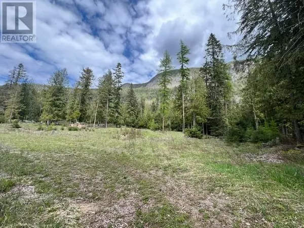 Canyon, BC V0B1C1,4852 48TH Street