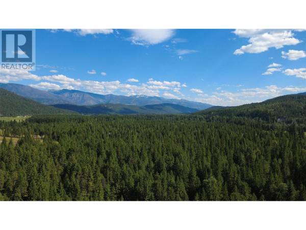 NW1/4, Sec. 22 Hwy 6 Highway, Edgewood, BC V0H1Z8