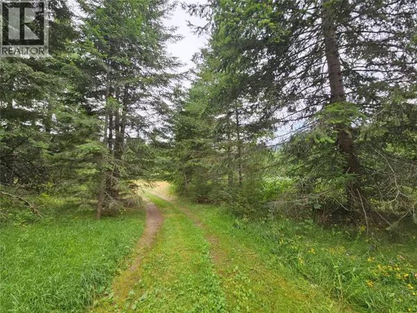 Fauquier, BC V0G1K0,130 LOWER FAUQUIER Road