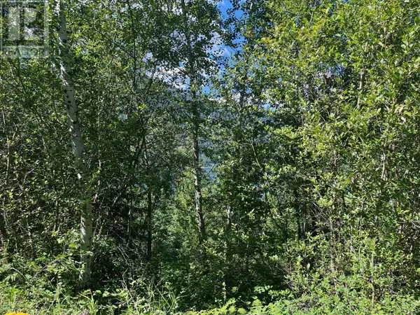 Nelson, BC V1L3K9,Lot B Government Street