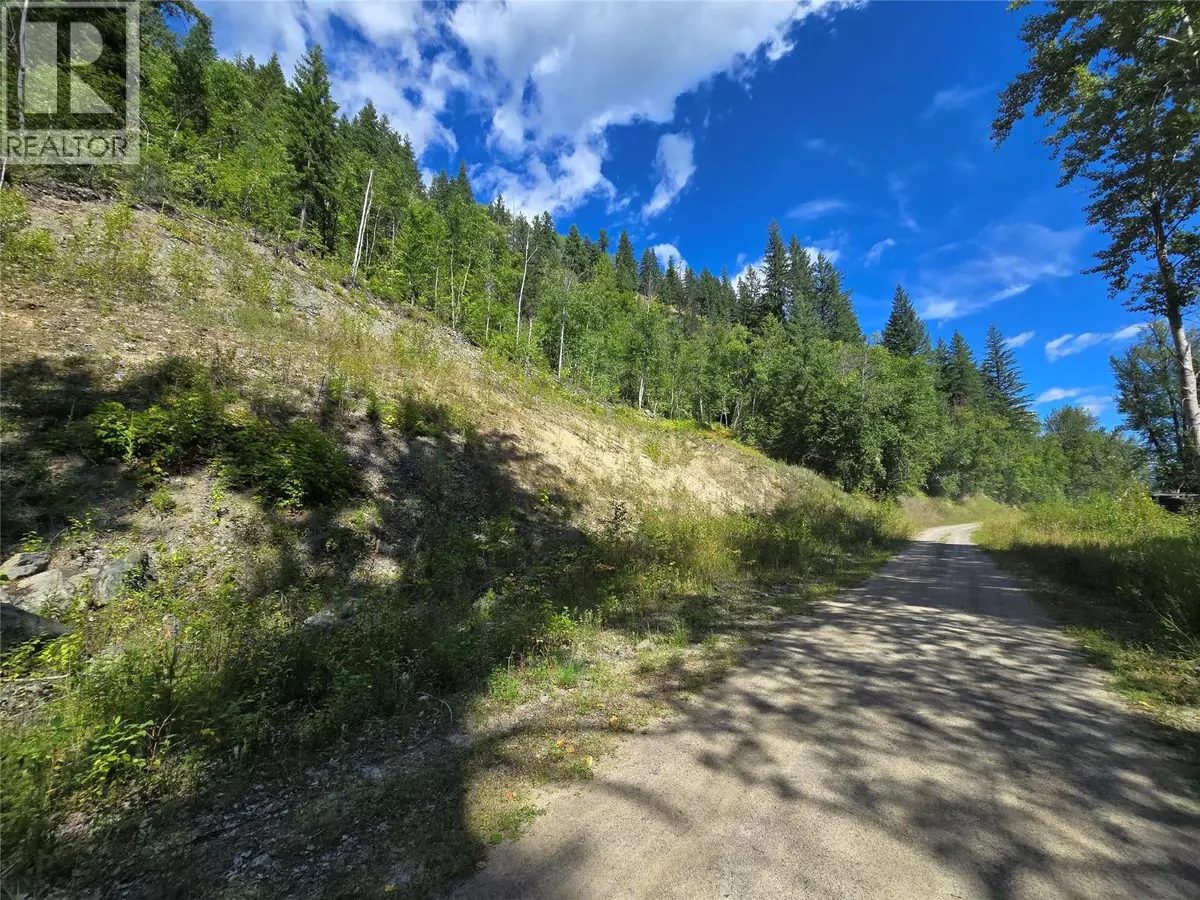 Clearwater, BC V0E2C0,3418 ROUNDTOP Road