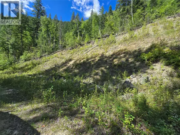 Clearwater, BC V0E2C0,3418 ROUNDTOP Road