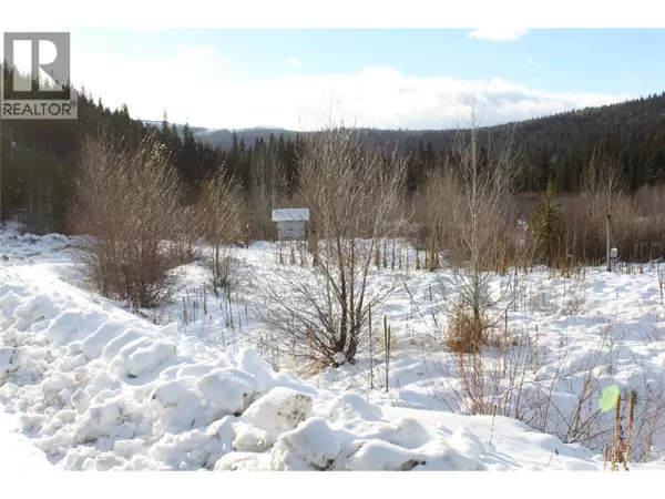 Princeton, BC V0X1W0,135 Secret Creek Place