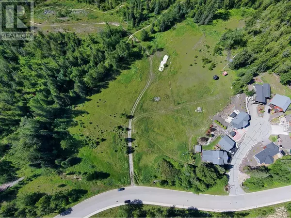 Fernie, BC V0B1M4,90 Castle Mountain Road