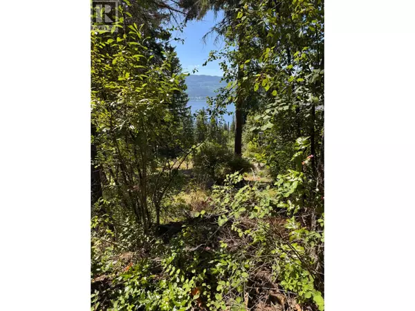 Lonneke Trail Lot# 52, Anglemont, BC V0E1M8