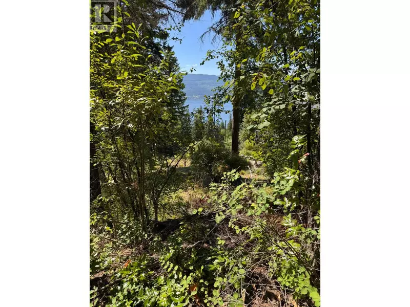 Lonneke Trail Lot# 52, Anglemont, BC V0E1M8