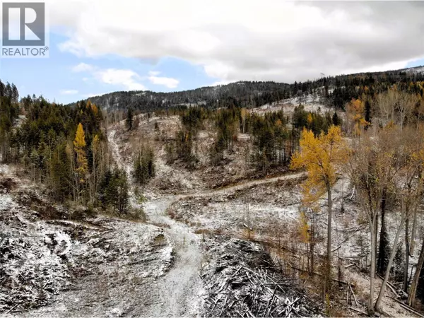 Grand Forks, BC V0H1H2,1827S MORRISSEY CREEK Road