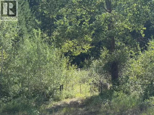 Westbridge, BC V0H1Y0,3520 33 Highway