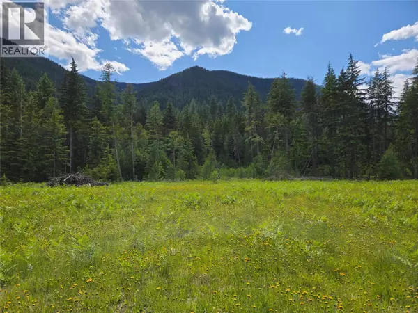 3809 PASSMORE UPPER Road, Passmore, BC V1L2J0