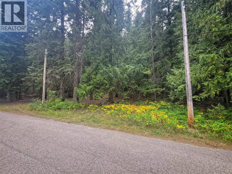 Lot A Maclure Avenue, Salmo, BC V0G1Z0