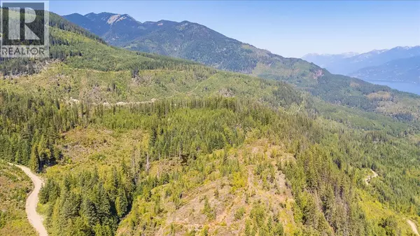 Ainsworth, BC V0G1A0,DL 591 CODY CS FSR Avenue