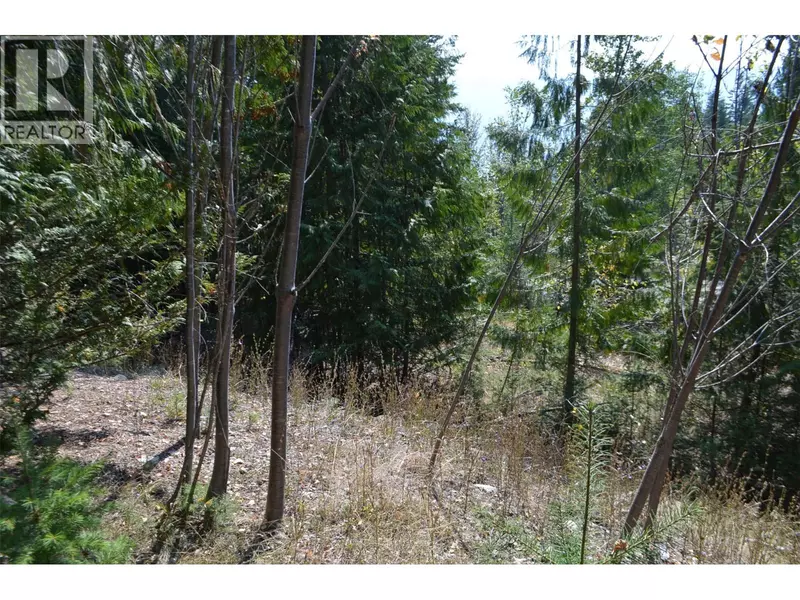 Fraser Road Lot# 59, Anglemont, BC V0E1M8