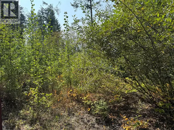 Golden, BC V0A1H2,842 Almberg Road Almberg Road Unit# Proposed Lot 2