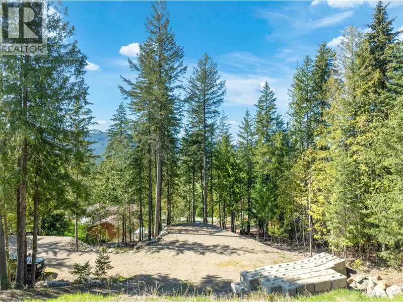 2699 Fraser Road, Anglemont, BC V0E1M8