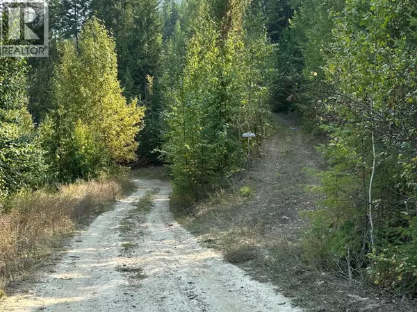 Castlegar, BC V1N4V8,200 LOWER ARROW Lake