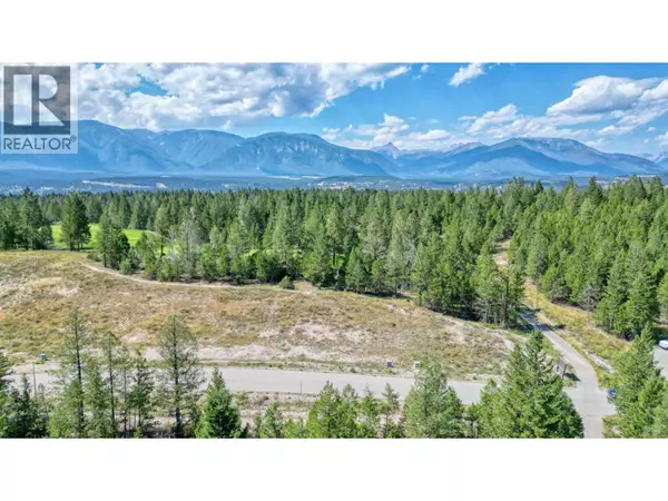 Lot 2 COOPER Road, Windermere, BC V0B2L0