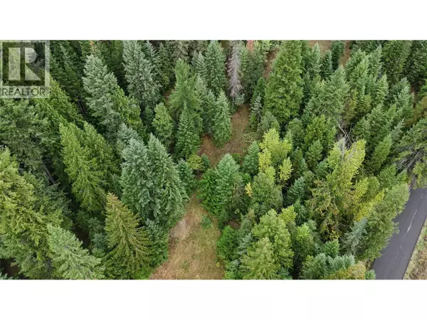 Ross Spur, BC V0G1L1,LOT 1 Ross Spur Road
