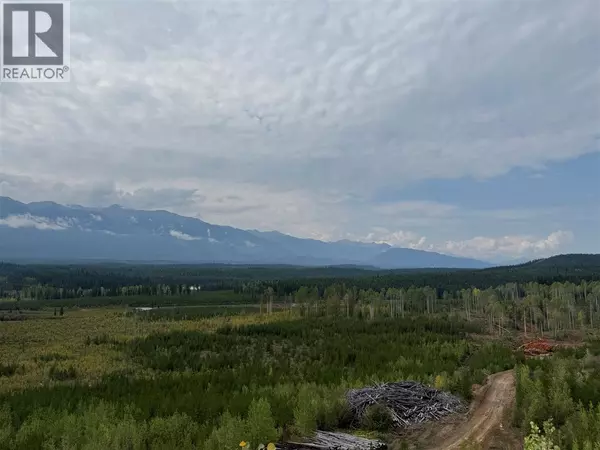 Spillimacheen, BC V0A1P0,DL 10766 Giant Min Road