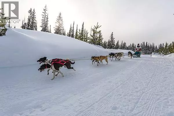 Big White, BC V1P1P3,Lot 3 Black Forest Road Lot# 3