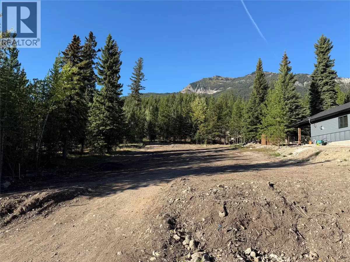 Elkford, BC V0B1H0,87 DEERBORNE Drive