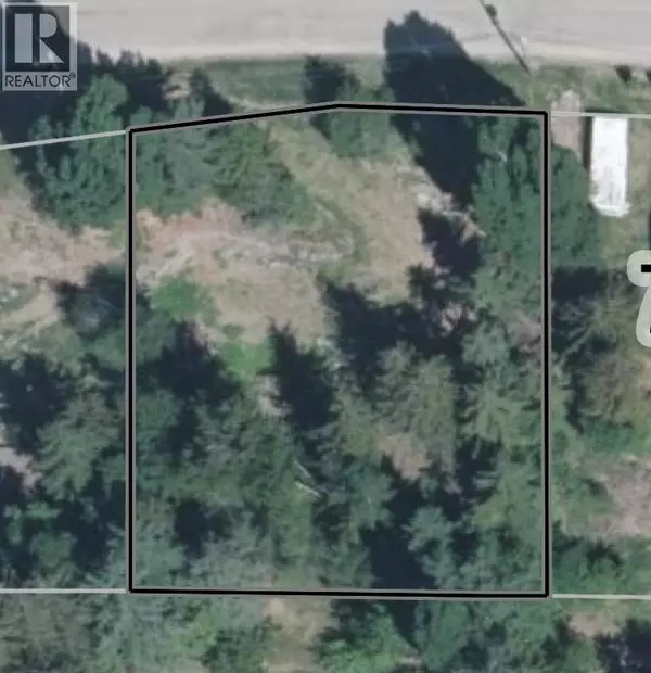 Anglemont, BC V0E1M8,36 Estate Drive