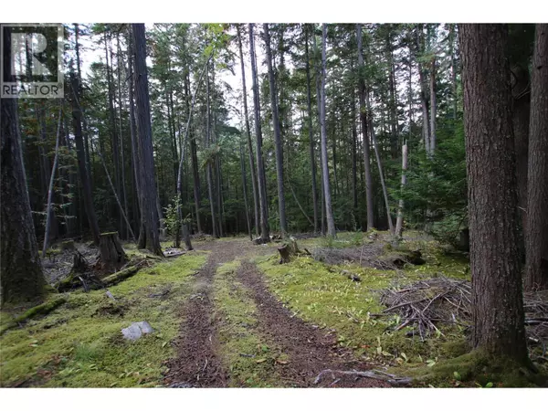 Burton, BC V0G1R1,Lot 23 Highway 6