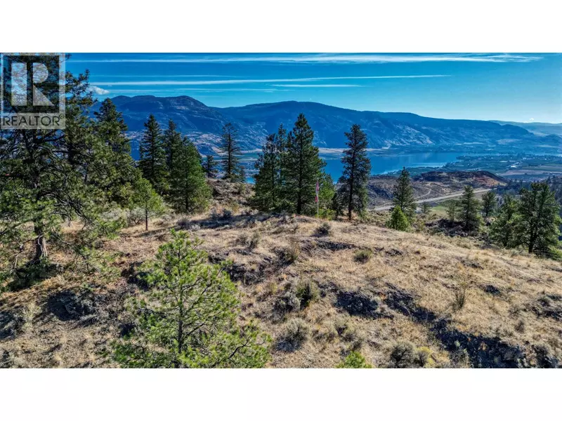 21043 Old Ritcher Passage Road, Osoyoos, BC V0H1V5